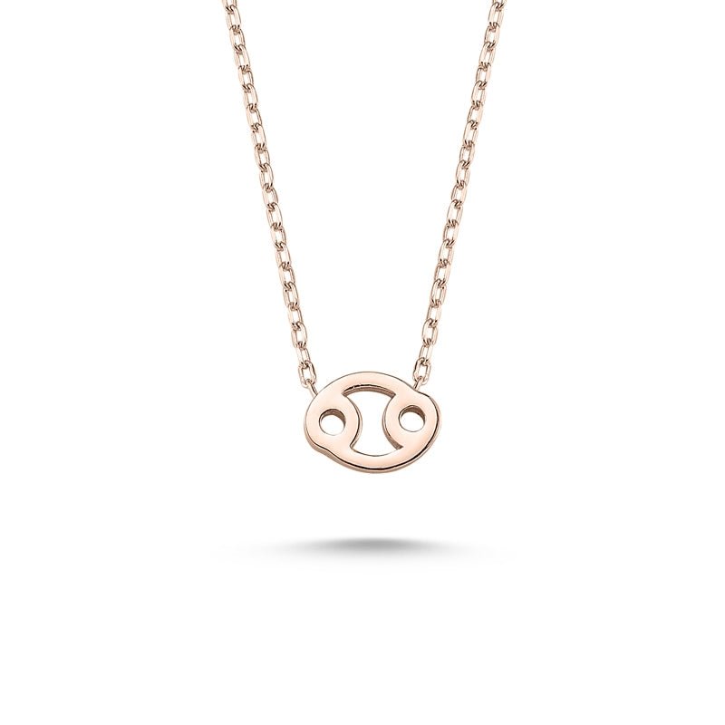 Cancer Sign Zodiac Silver Necklace