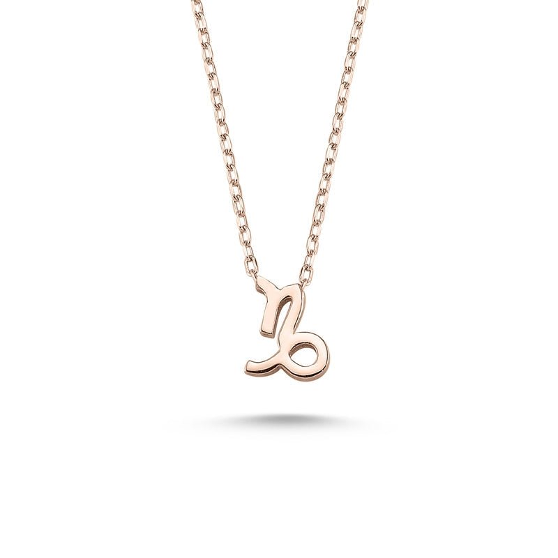 Capricorn Sign Zodiac Silver Necklace - amoriumjewelry
