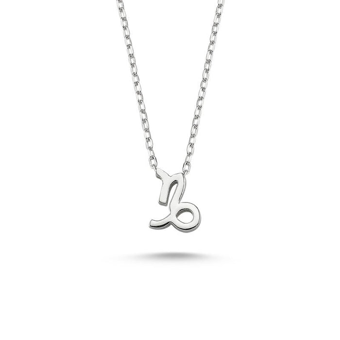 Capricorn Sign Zodiac Silver Necklace - amoriumjewelry